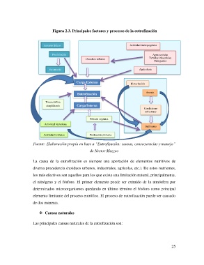 proceso de eutrofización